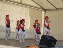 falunap2012_120_20180901